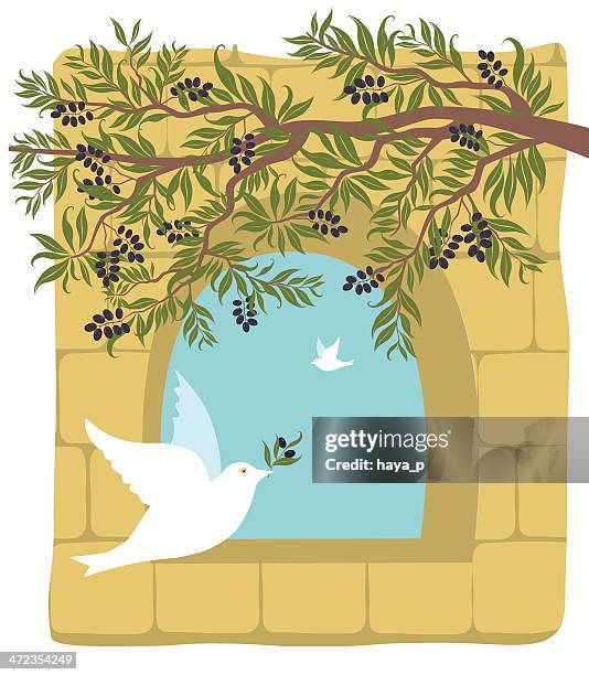 olive branch, dove on old stone wall background - shavuot stock illustrations