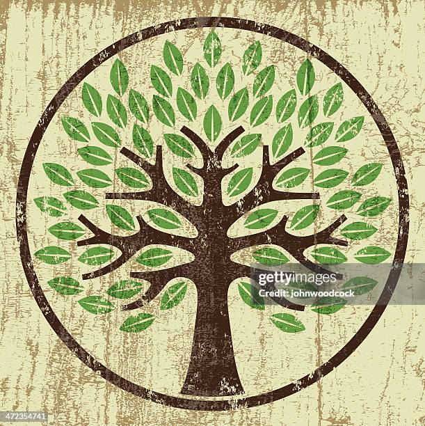 peeling paint big circle tree - tree chipping stock illustrations