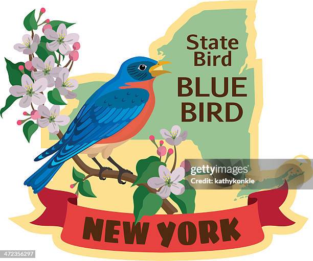 new york state bird - luggage sticker stock illustrations