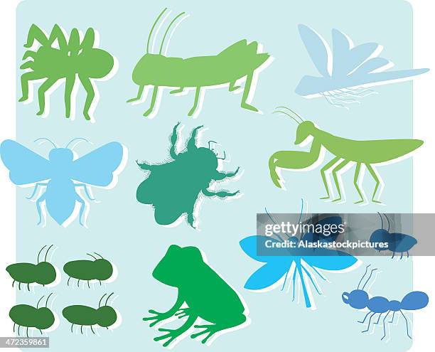 insects (small animals) shapes - termites stock illustrations