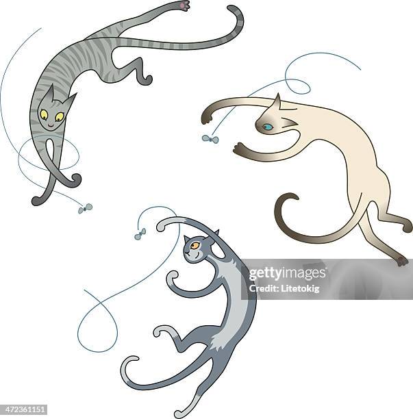 fly catcher - siamese cat stock illustrations