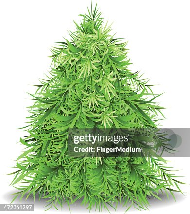 Christmas tree Christmas tree