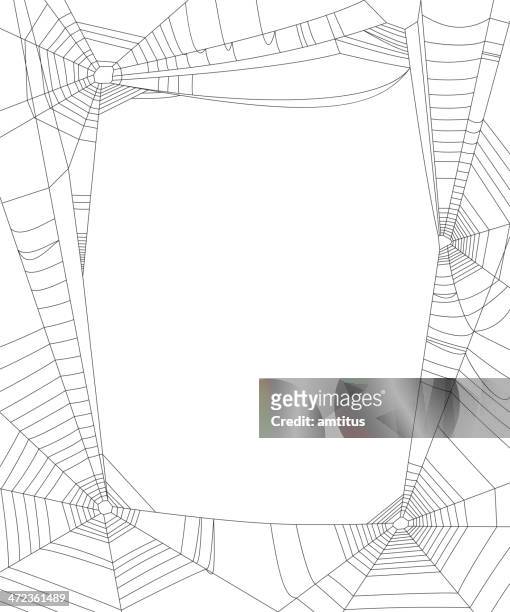 stockillustraties, clipart, cartoons en iconen met cobweb frame - spinnenweb
