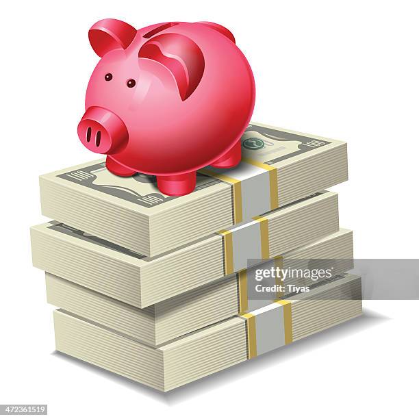 currency with piggy bank - american fifty dollar bill stock illustrations