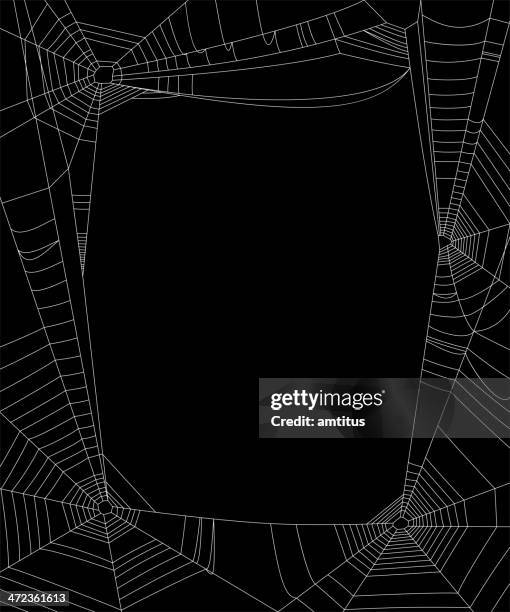 dark cobweb frame - spider web background stock illustrations