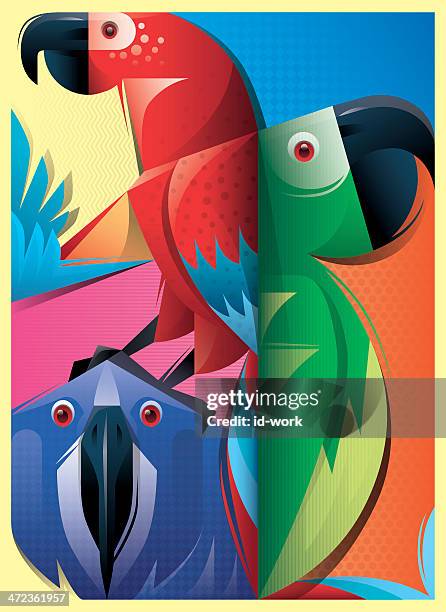 parrots - macaw stock illustrations