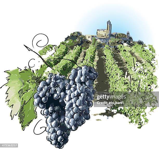 vineyard - piedmont stock illustrations