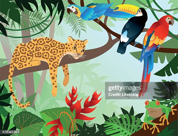 ilustrações, clipart, desenhos animados e ícones de jungle - papagaio