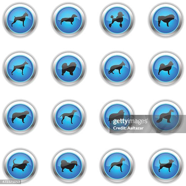 ilustraciones, imágenes clip art, dibujos animados e iconos de stock de perros iconos-azul - basset hound