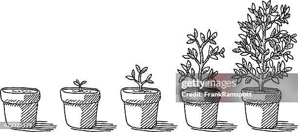 3 346点の植木鉢イラスト素材 Getty Images 3 346点の植木鉢イラスト素材 Getty Images