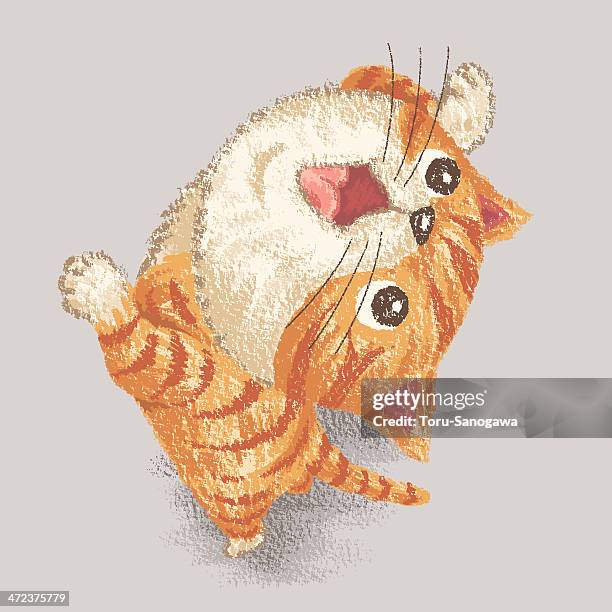 tabby to look up at - tabby stock illustrations