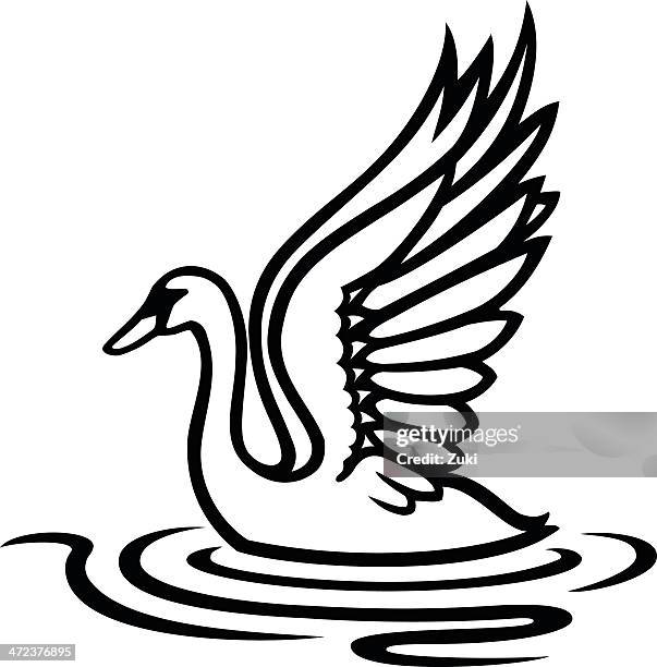 swan - swan stock illustrations