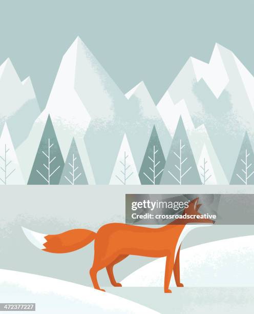 winter fox - red fox stock illustrations