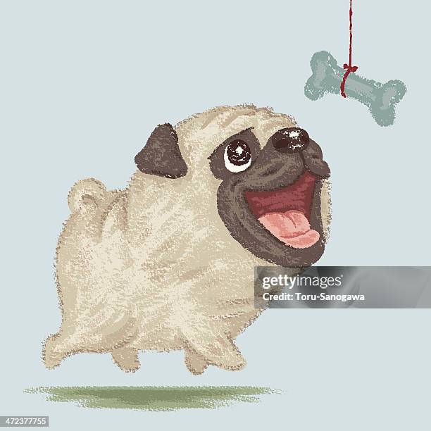 90 Ilustraciones de Pug Drawing - Getty Images 90 Ilustraciones de Pug Drawing - Getty Images
