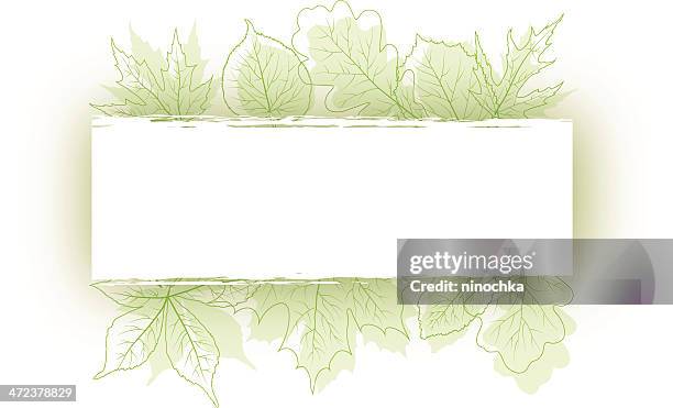 spring banner - maple tree spring stock illustrations