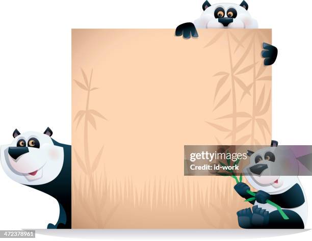 Pandaboard Photos and Premium High Res Pictures - Getty Images