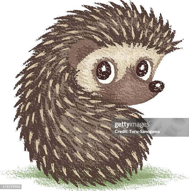 399点のハリネズミイラスト素材 Getty Images 399点のハリネズミイラスト素材 Getty Images