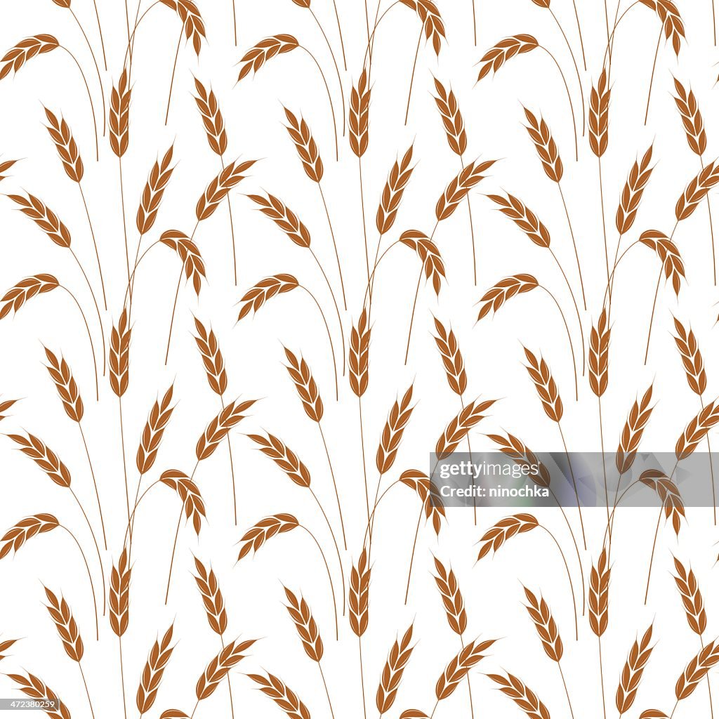 Wheat wallpaper