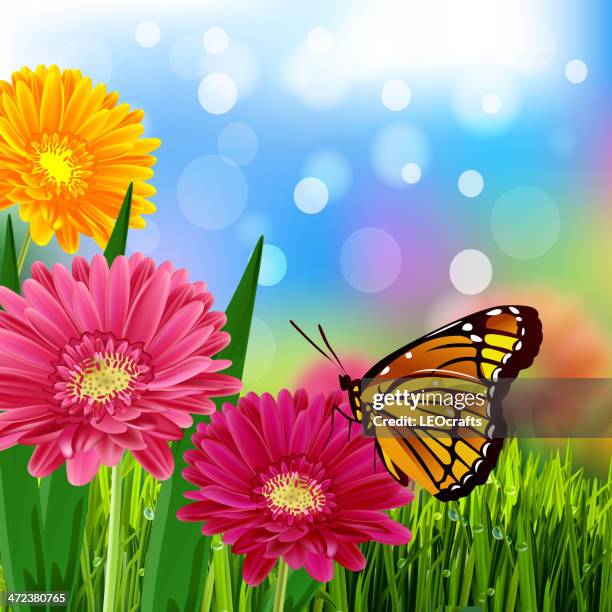 spring background - gerbera daisies stock illustrations