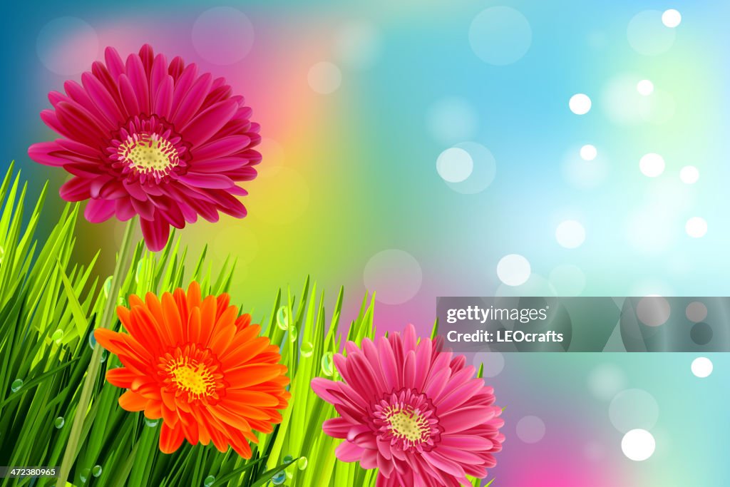 Spring Background High-Res Vector Graphic - Getty Images