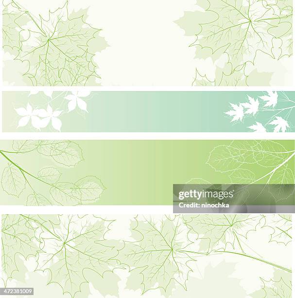 spring banners - chestnut tree stock illustrations