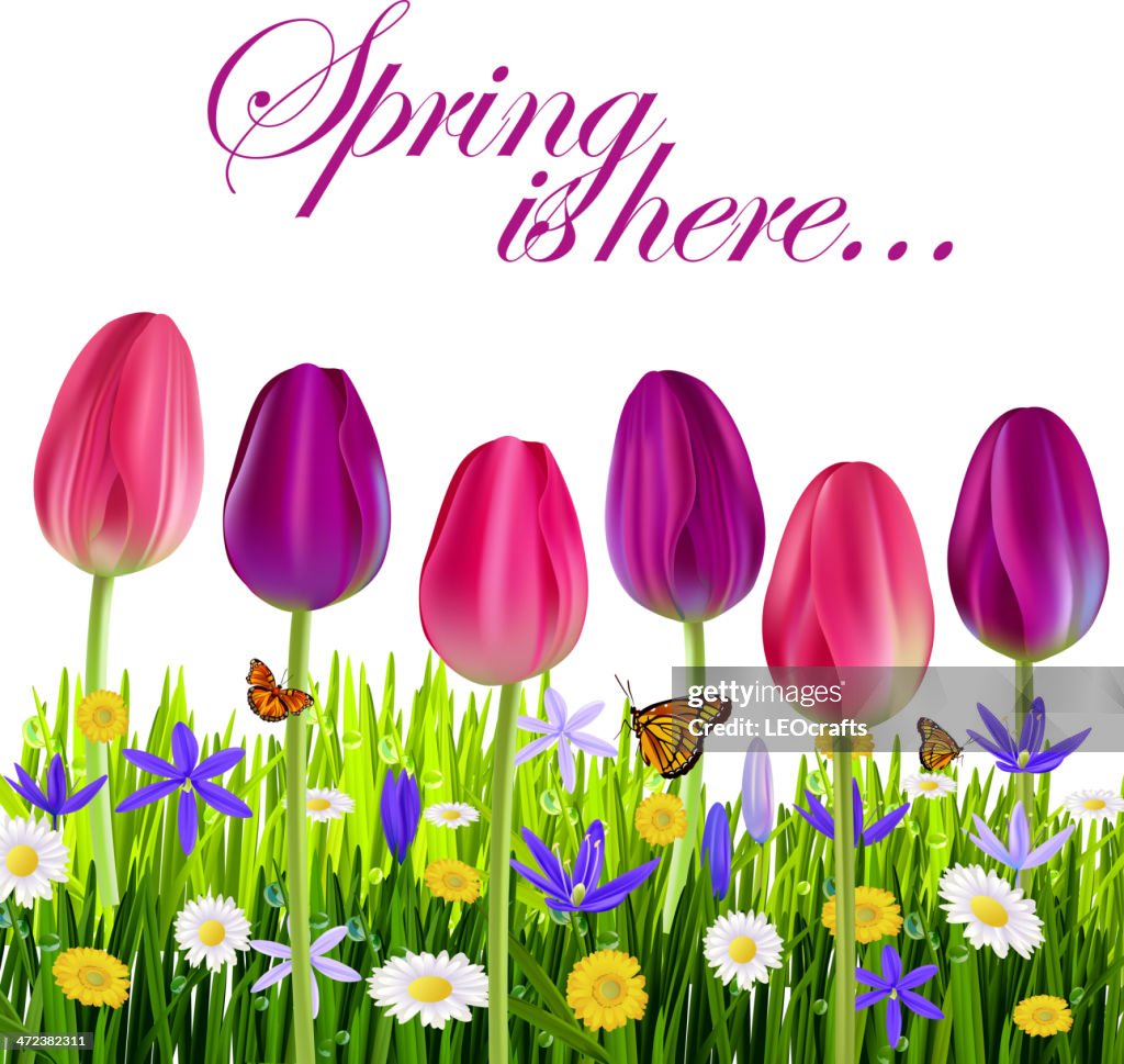 Spring Background High-Res Vector Graphic - Getty Images