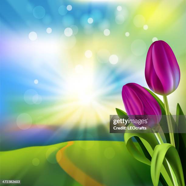 Spring Back Graphics Spring Background High-Res Vector Graphic - Getty Images