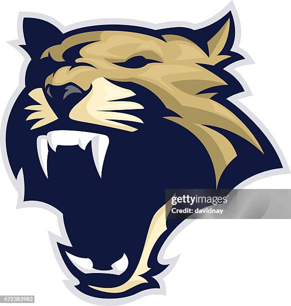 wildcat roar - knurren stock-grafiken, -clipart, -cartoons und -symbole