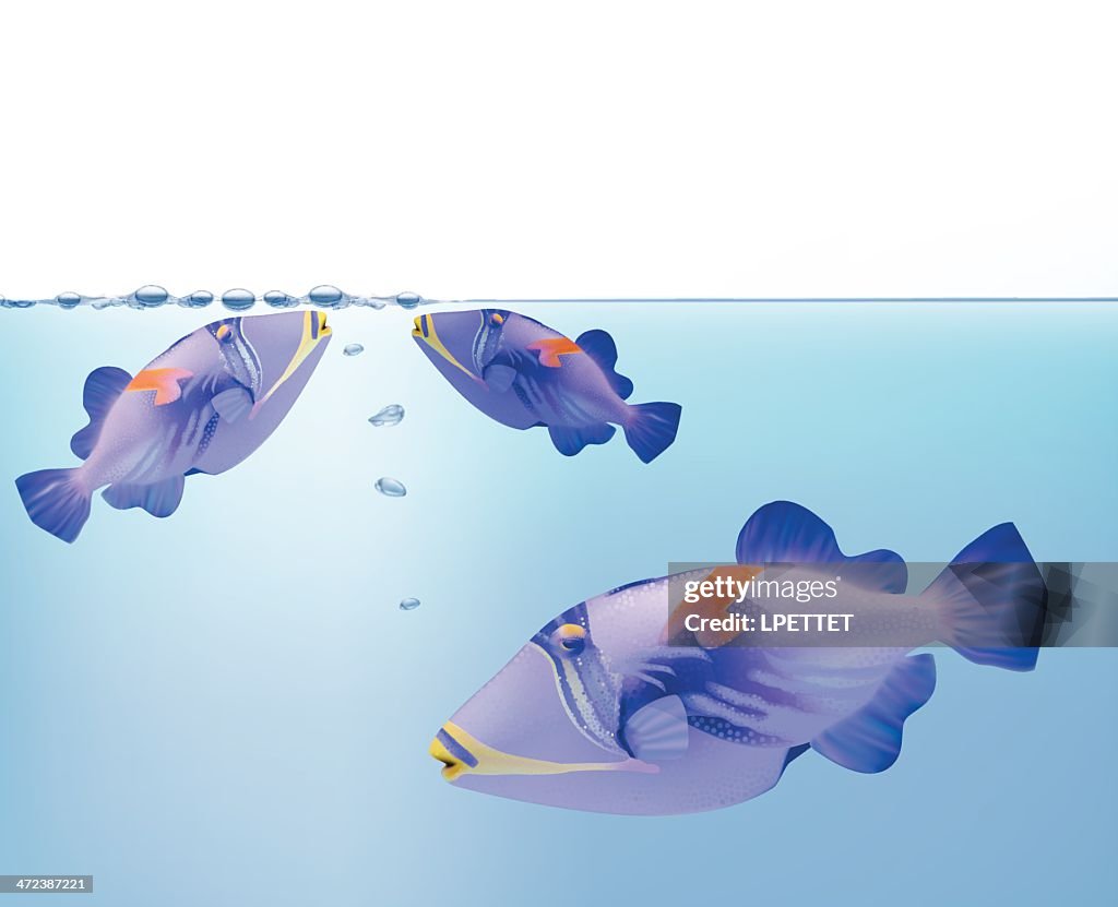 Picasso Fish - Vector Illustration