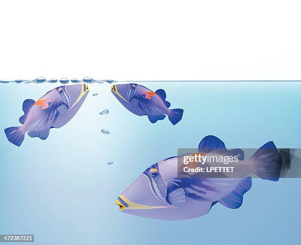 picasso fish - vector illustration - picasso stock illustrations
