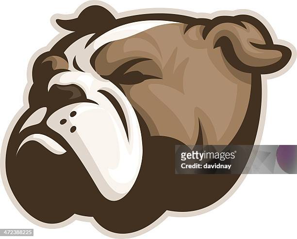 bildbanksillustrationer, clip art samt tecknat material och ikoner med english bulldog mascot - engelsk bulldog