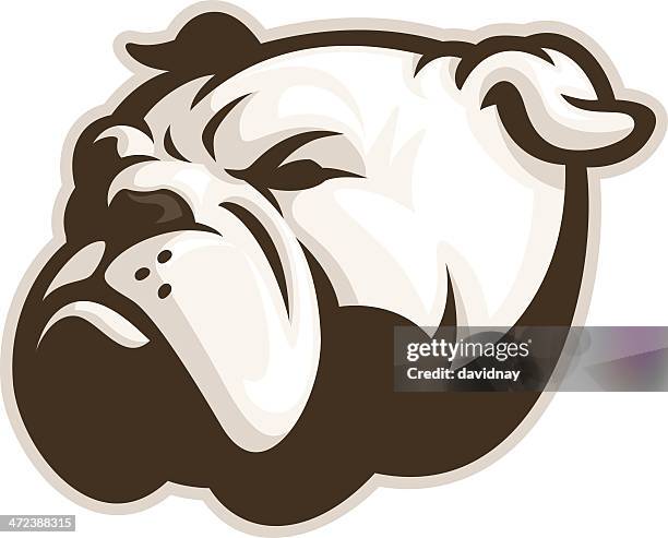 white bulldog mascot - bulldog stock illustrations