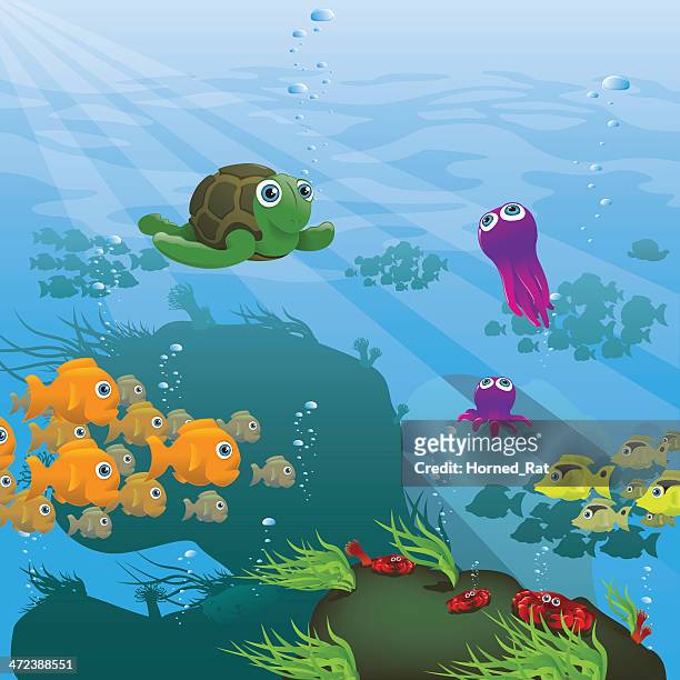 bildbanksillustrationer, clip art samt tecknat material och ikoner med life aquatic - reef - illustration - blue anemone