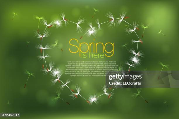 dandelion - spring dandelion stock illustrations