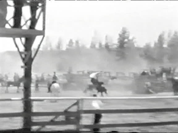 Bucking Vs Rearing 40 Rearing Horse With Rider Stock Videos, Footage, & 4K Video Clips ...
