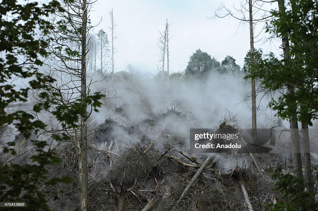 Signs of volcanic activity at Mount Hakoneyama in Jap