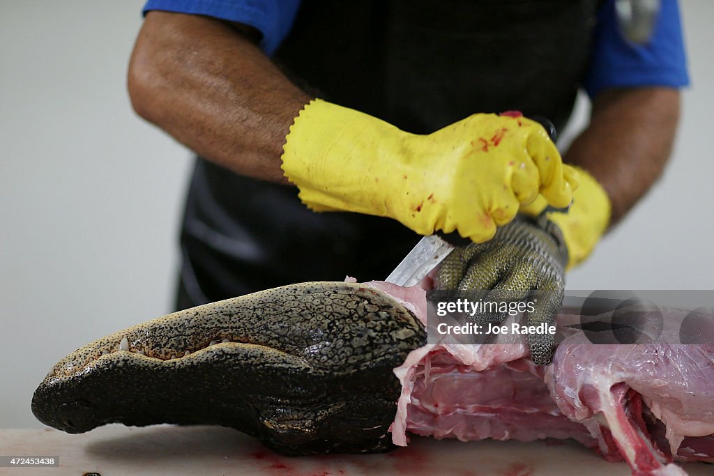 Market For Alligator Meat Booms In Florida