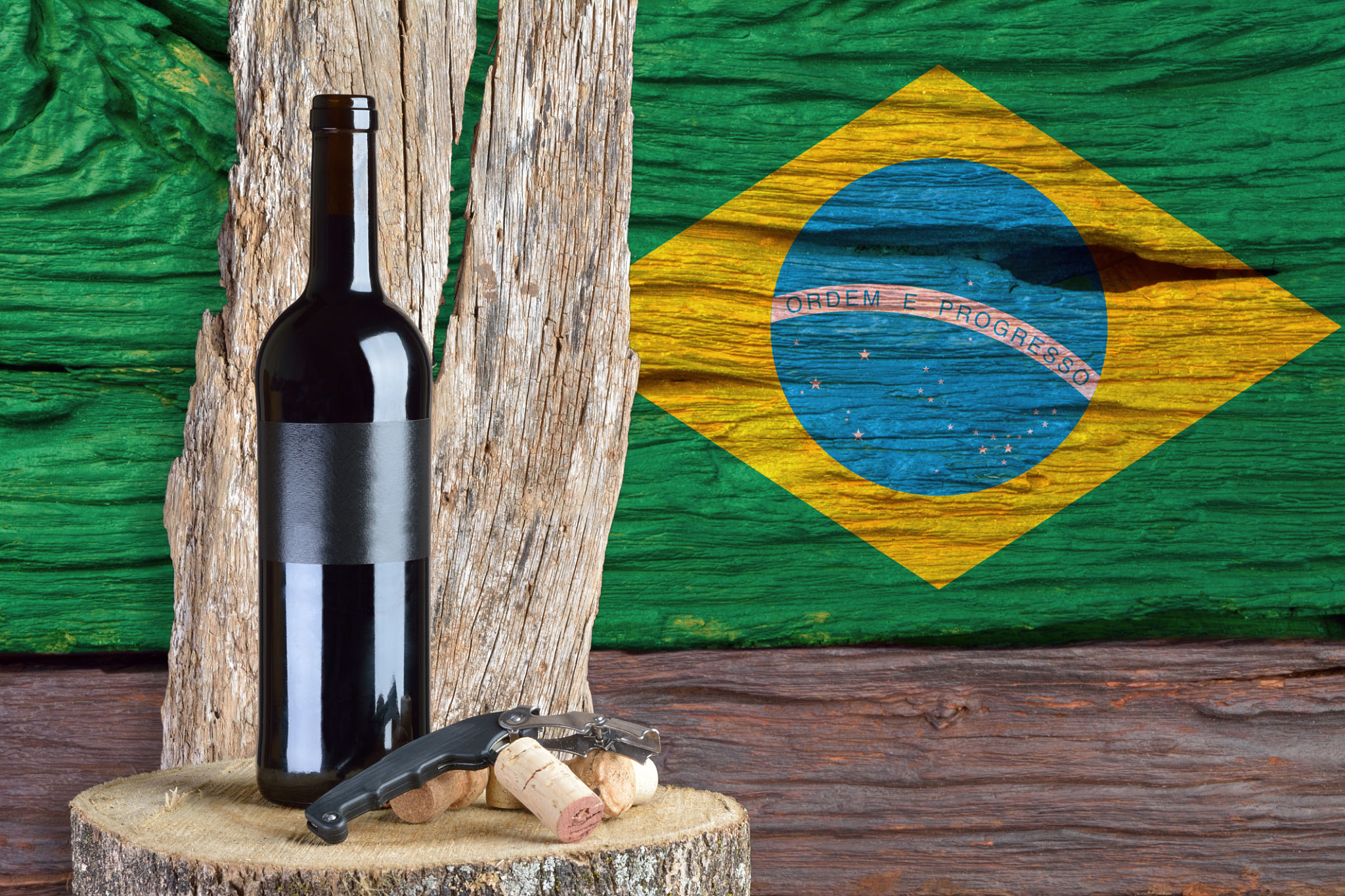 vinho brasileiro