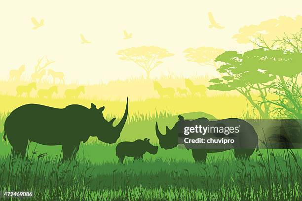 bildbanksillustrationer, clip art samt tecknat material och ikoner med african wildlife and inhabitants of the jungle - rhinoceros