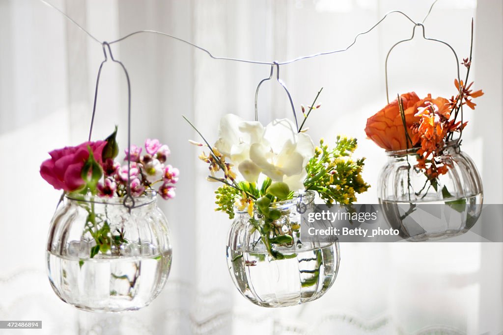 Flowers spring summer hanging beautiful setting mood smell fresh