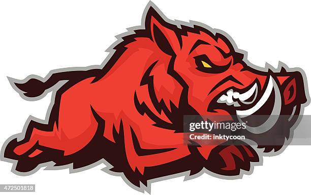 Running Razorback Hog 81 Razorback Hogs Stock Photos, High-Res Pictures, and Images - Getty ...