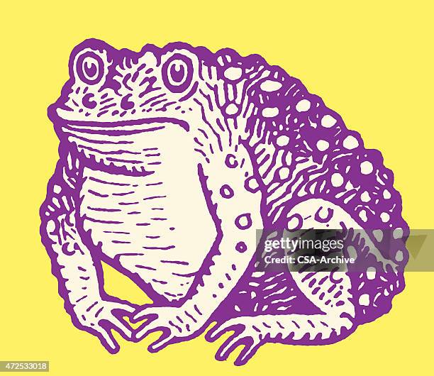 kröte - frogs in wetlands stock-grafiken, -clipart, -cartoons und -symbole