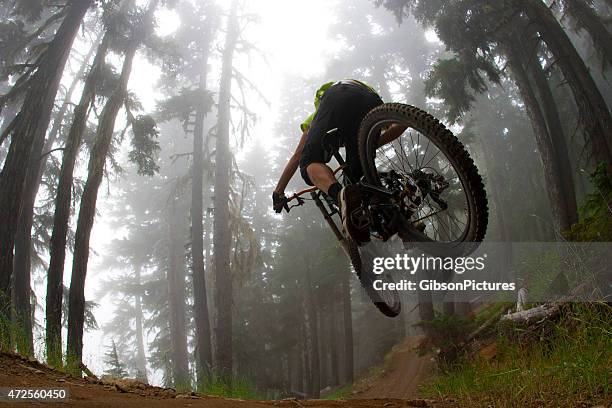 low angle photo of mountain biker jumping in forest - 踩登山車 個照片及圖片檔