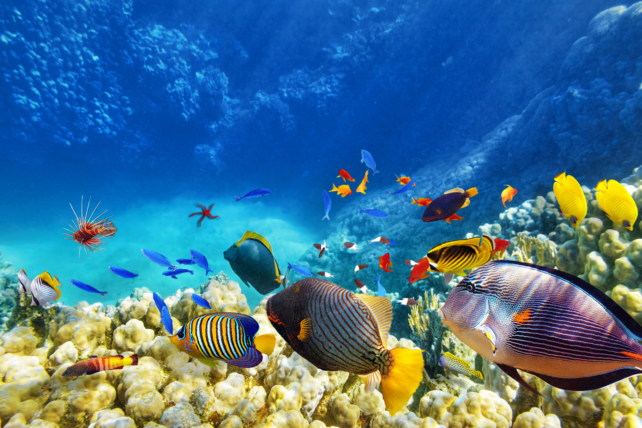 snorkeling hurghada
