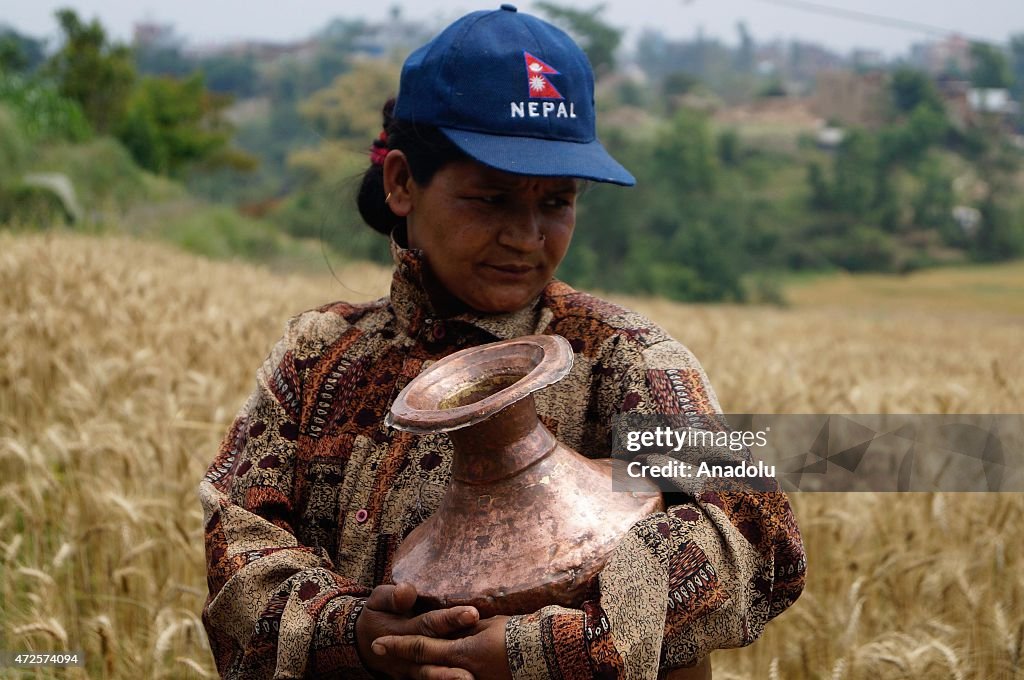 Wheat harvest in Nepal