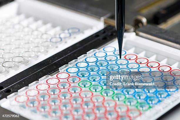 Capillary Tube Array 187 Capillary Tube Stock Photos, High-Res Pictures, and Images - Getty ...