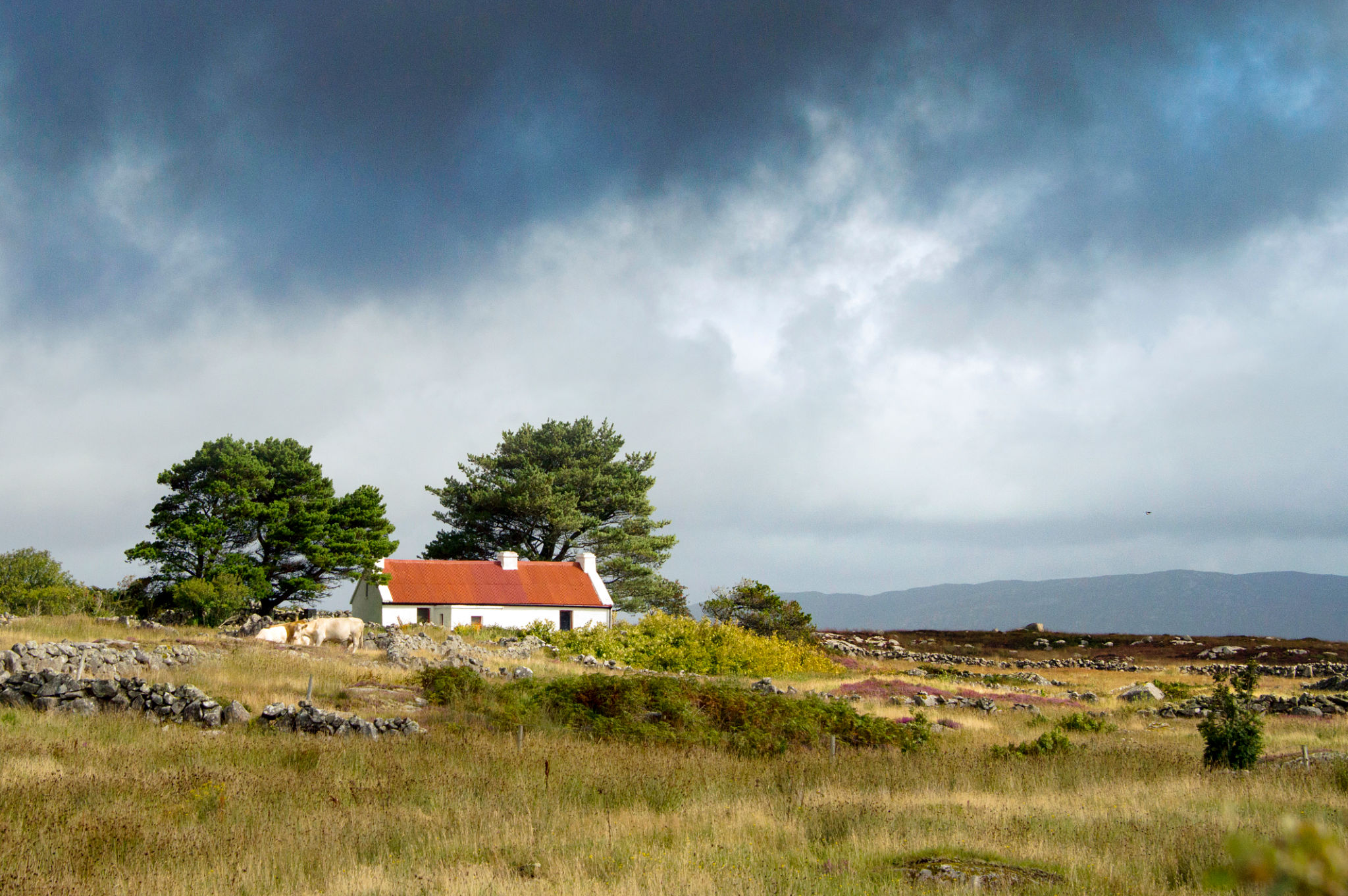Farm in the Burren nature reserve, Ireland Farm in the Burren nature reserve, Ireland