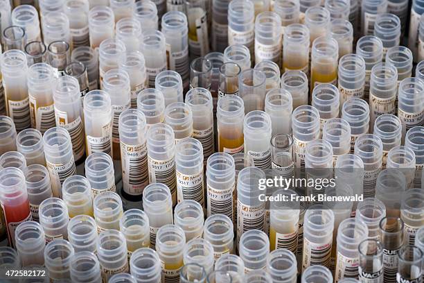 Examinated samples in transparent capillary tubes are sorted in grey racks.