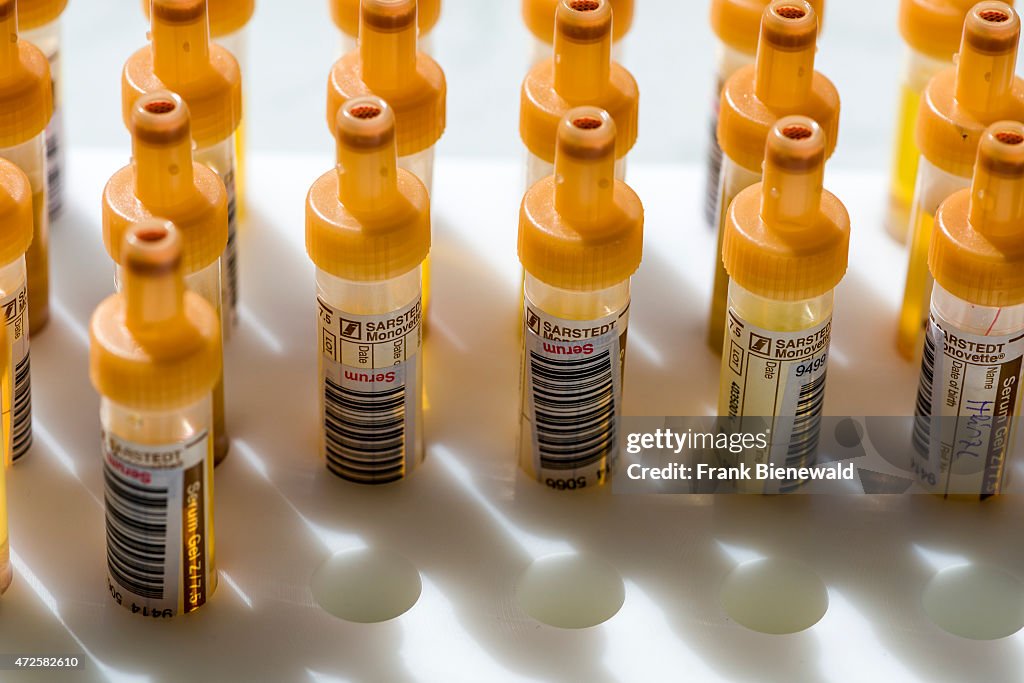 Many capillary tubes, filled with transparent serum, are...