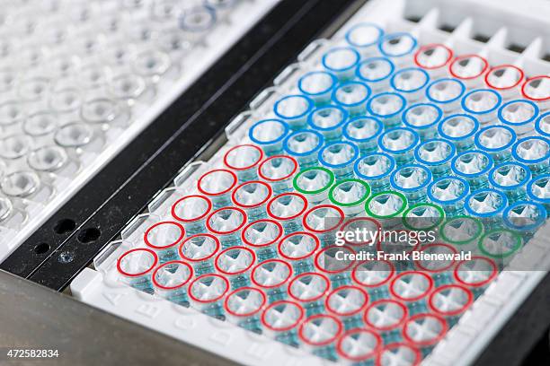 Capillary Tube Array 144 Capillary Tube Stock Photos, High-Res Pictures, and Images - Getty ...